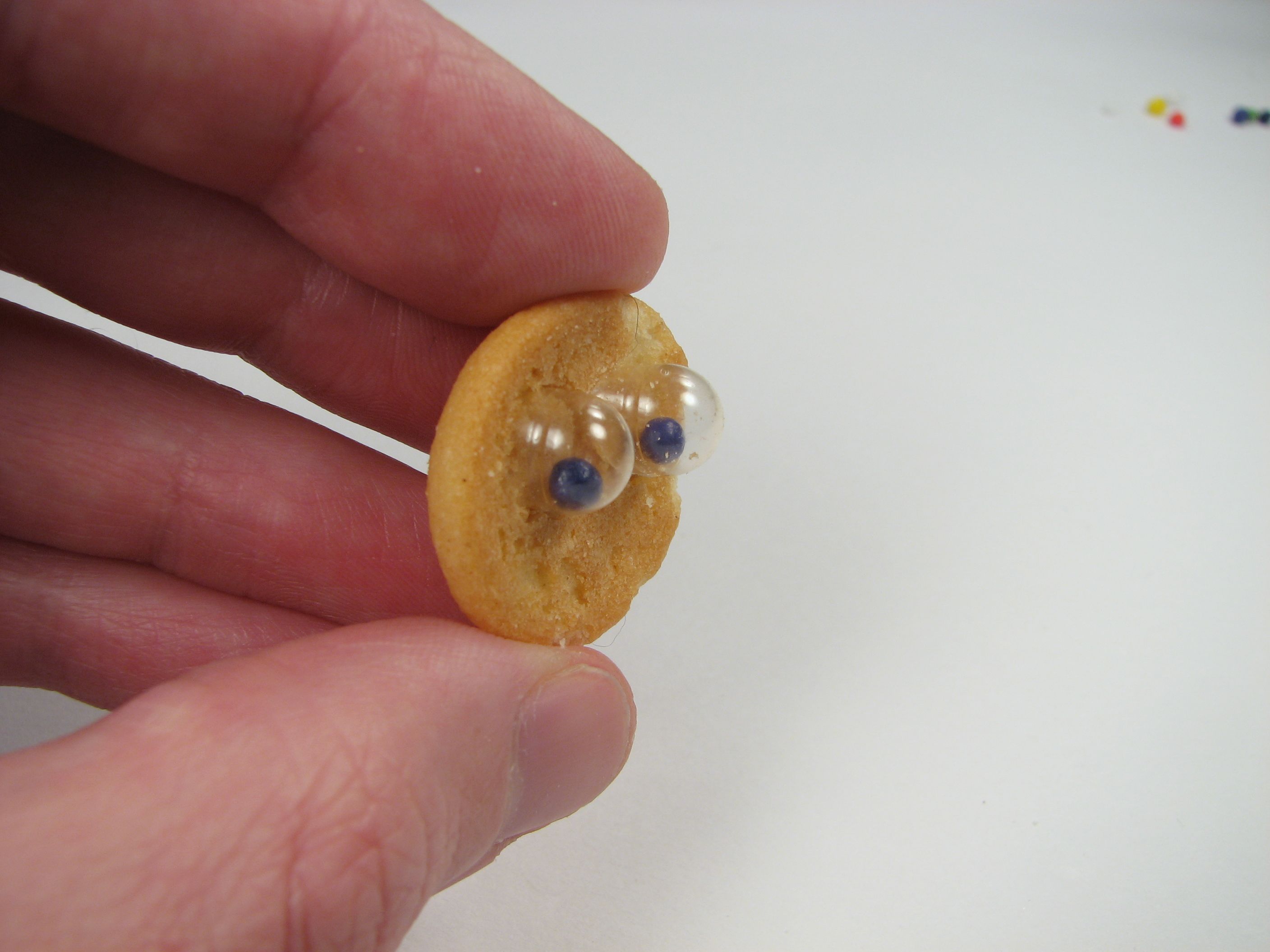 Nilla is watching you.