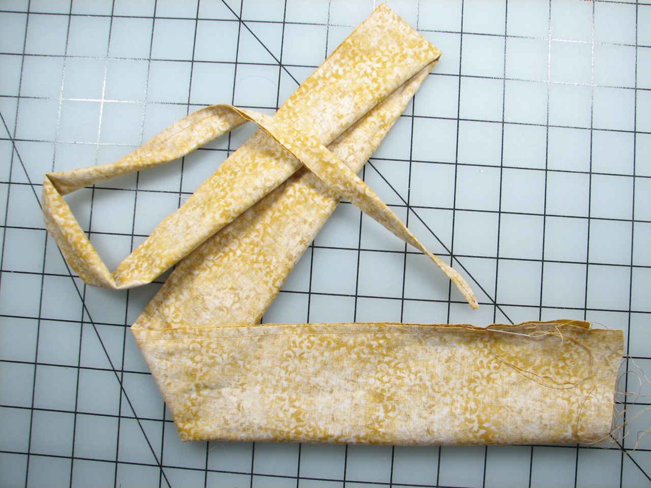 A velvet bristlebot racing snail