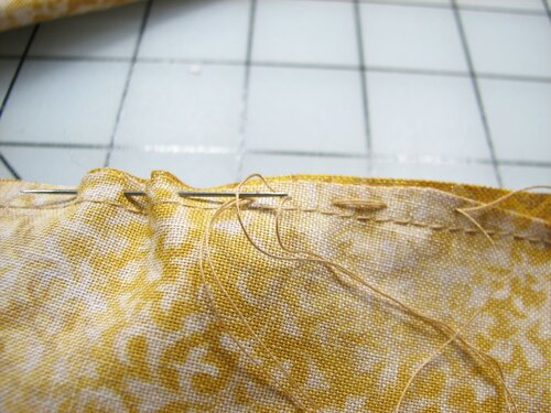 A velvet bristlebot racing snail