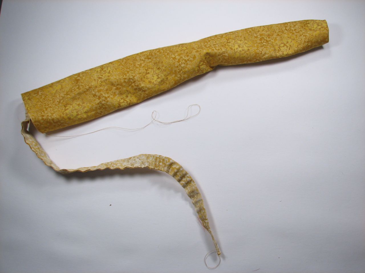 A velvet bristlebot racing snail