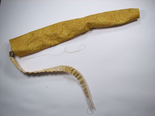 A velvet bristlebot racing snail