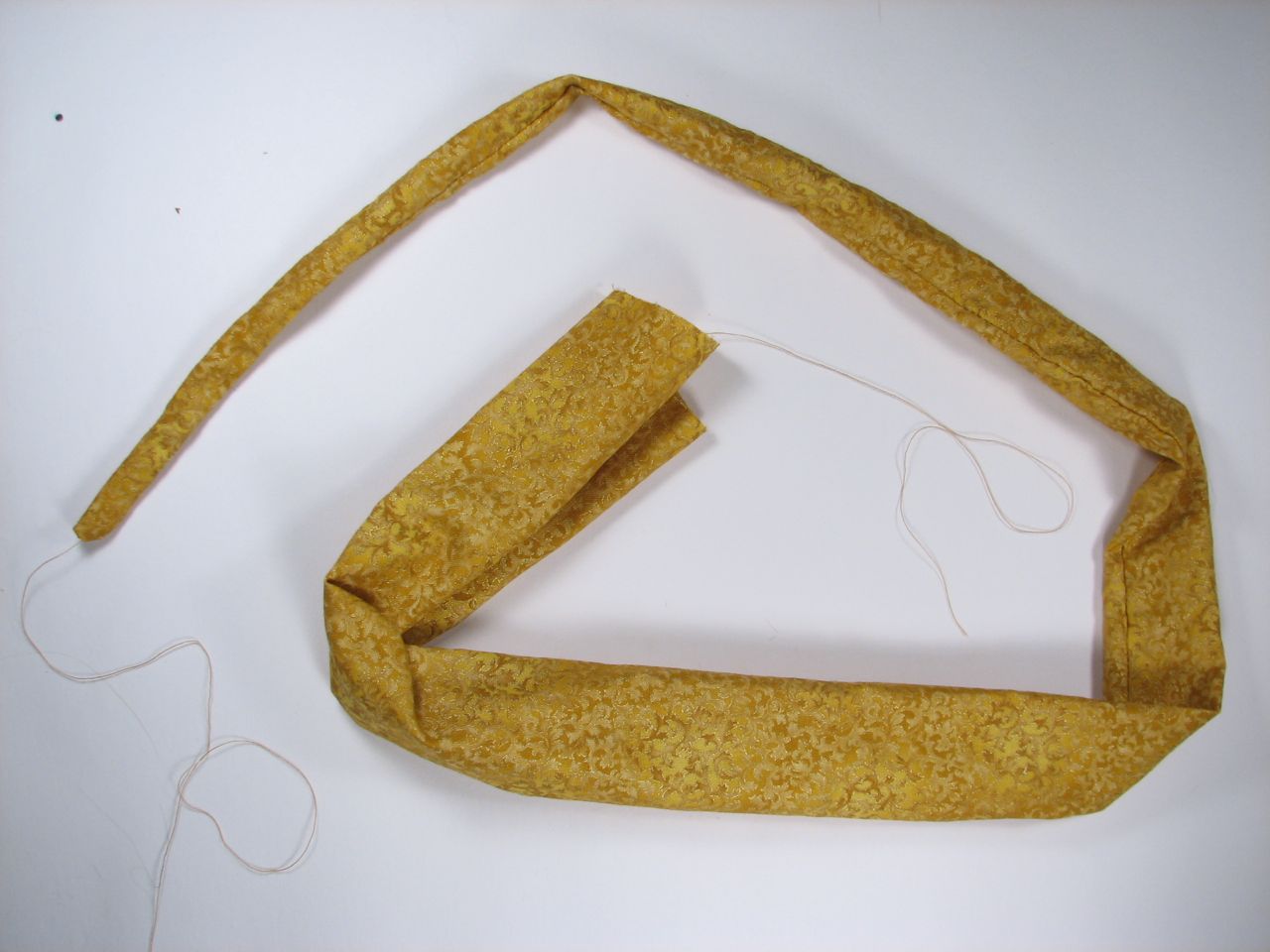 A velvet bristlebot racing snail