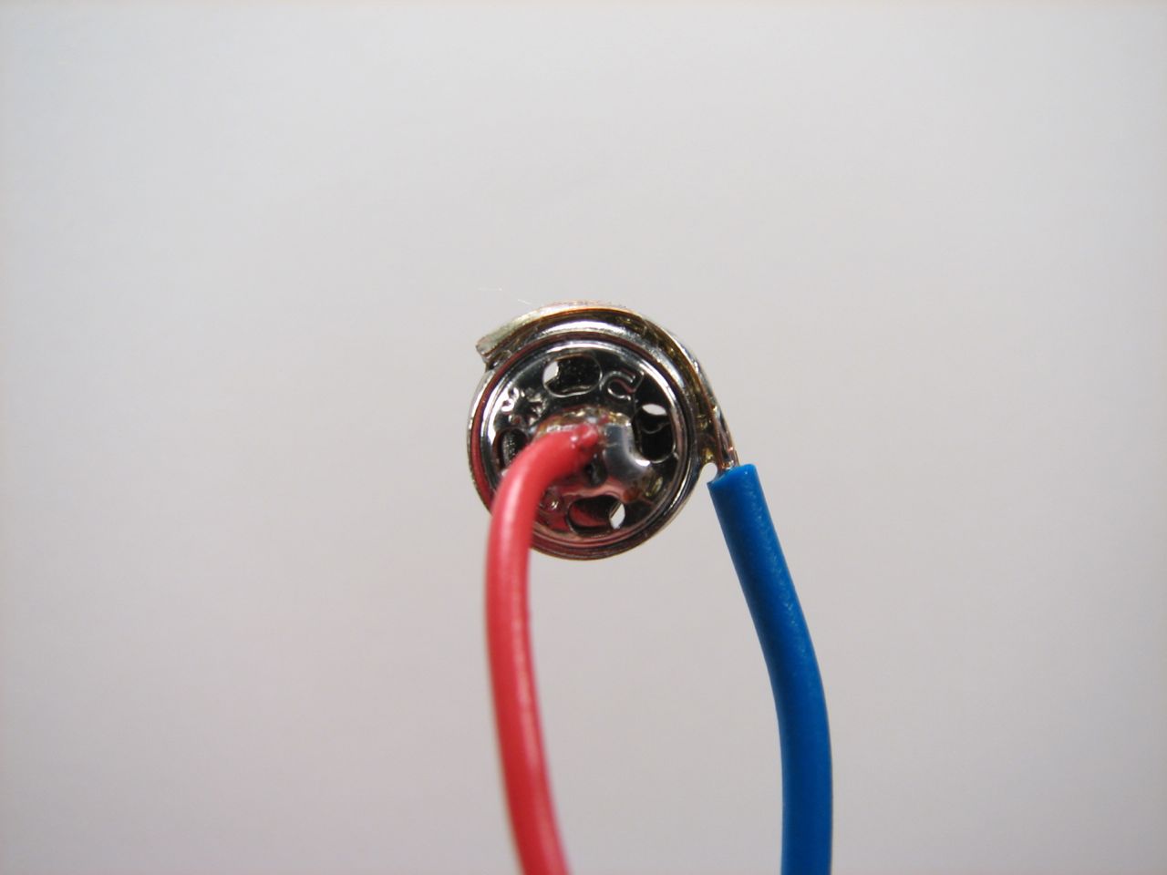 A velvet bristlebot racing snail