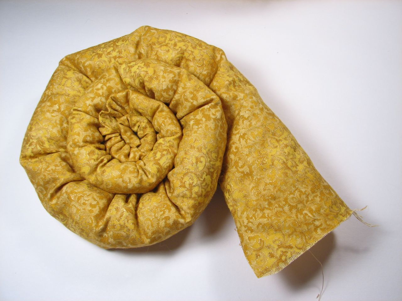 A velvet bristlebot racing snail