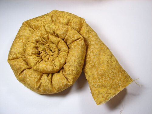 A velvet bristlebot racing snail