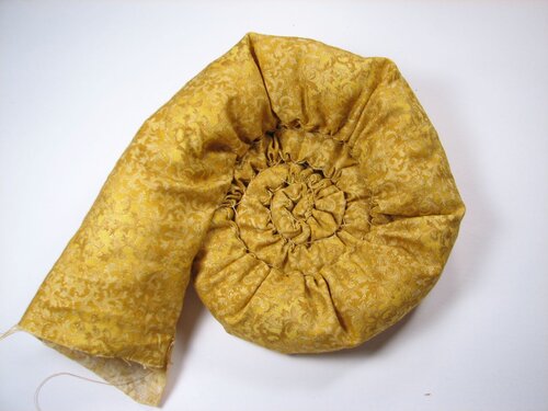 A velvet bristlebot racing snail