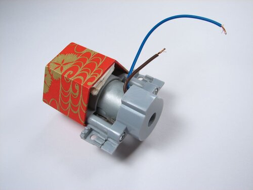 A velvet bristlebot racing snail