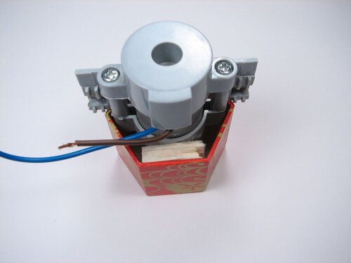 A velvet bristlebot racing snail