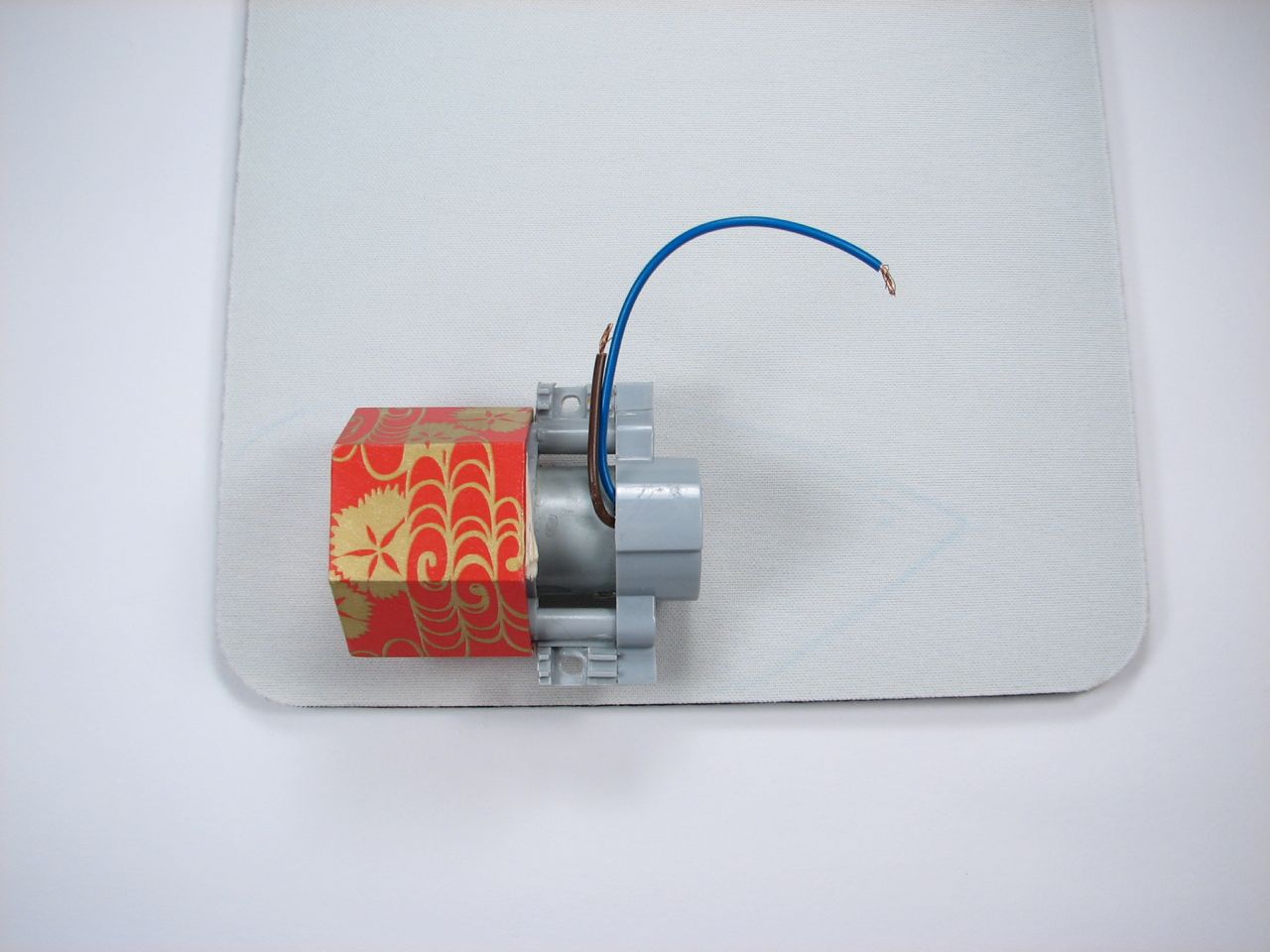 A velvet bristlebot racing snail