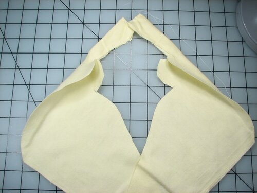 A velvet bristlebot racing snail