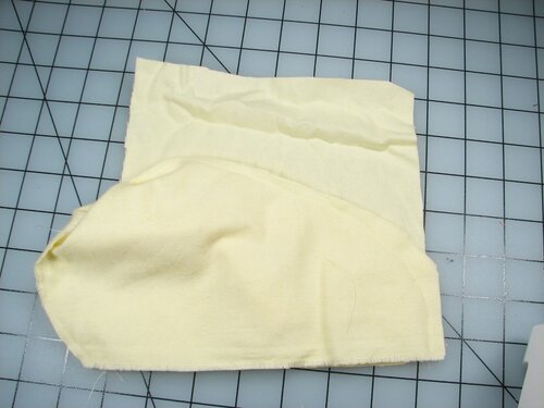 A velvet bristlebot racing snail