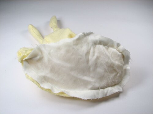 A velvet bristlebot racing snail