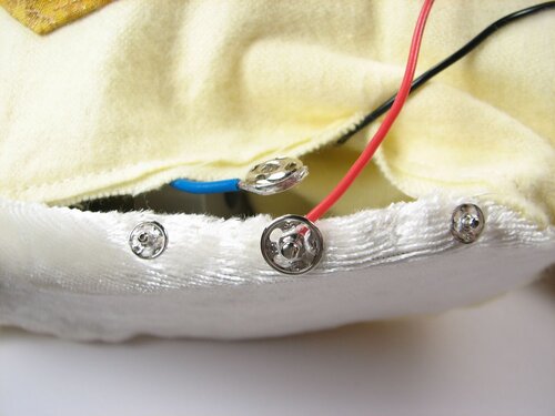 A velvet bristlebot racing snail