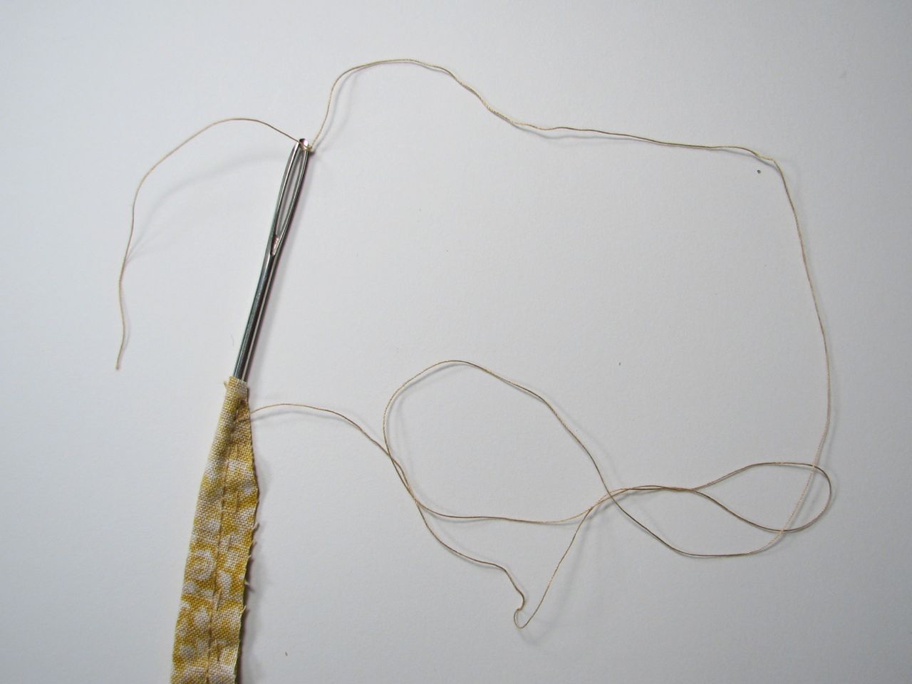 A velvet bristlebot racing snail