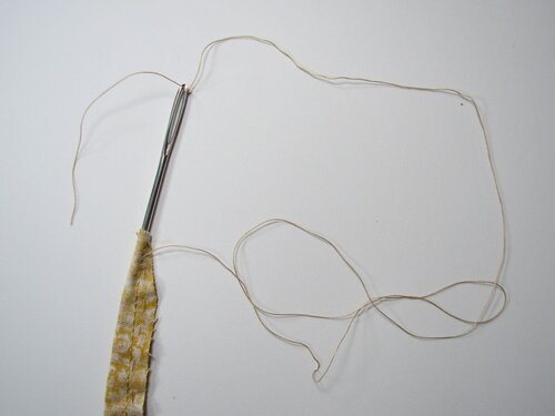 A velvet bristlebot racing snail