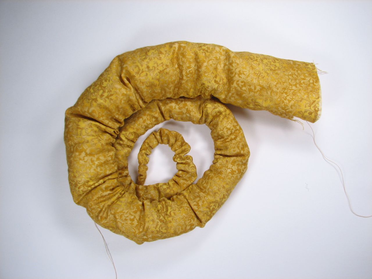 A velvet bristlebot racing snail