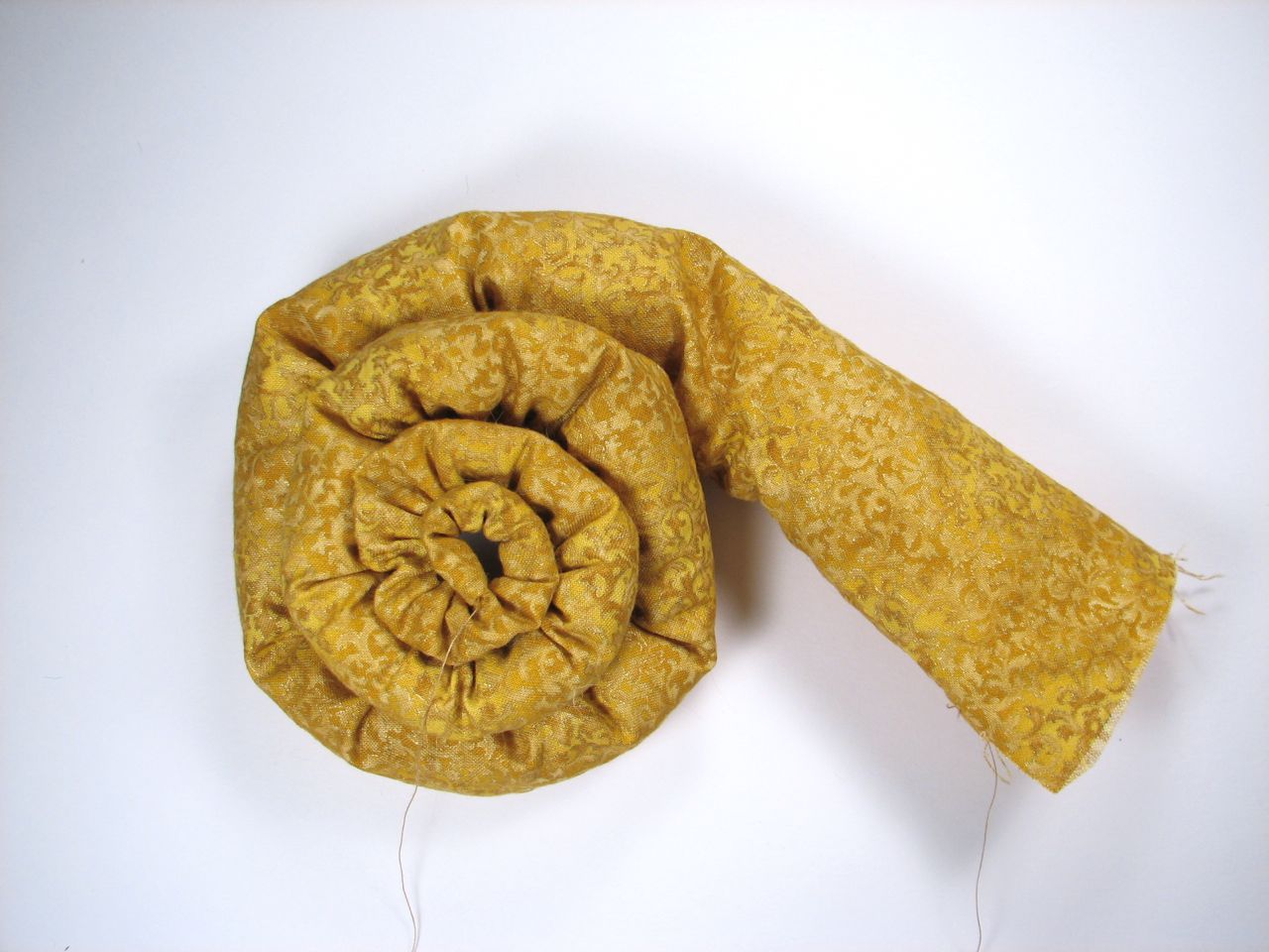 A velvet bristlebot racing snail