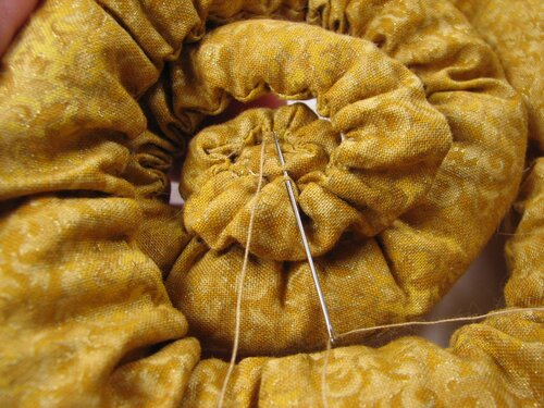 A velvet bristlebot racing snail