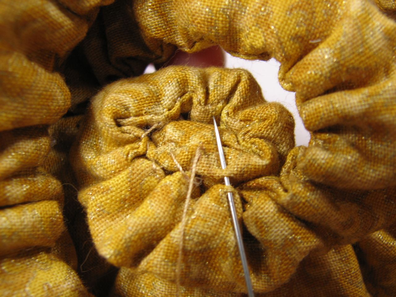 A velvet bristlebot racing snail