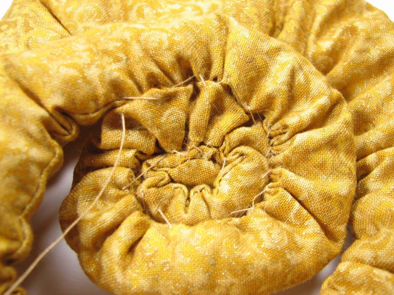 A velvet bristlebot racing snail