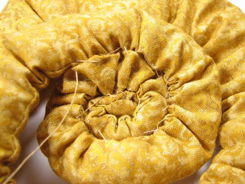 A velvet bristlebot racing snail