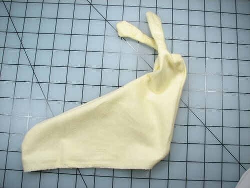 A velvet bristlebot racing snail