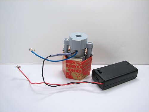 A velvet bristlebot racing snail