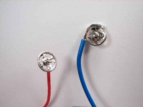 A velvet bristlebot racing snail