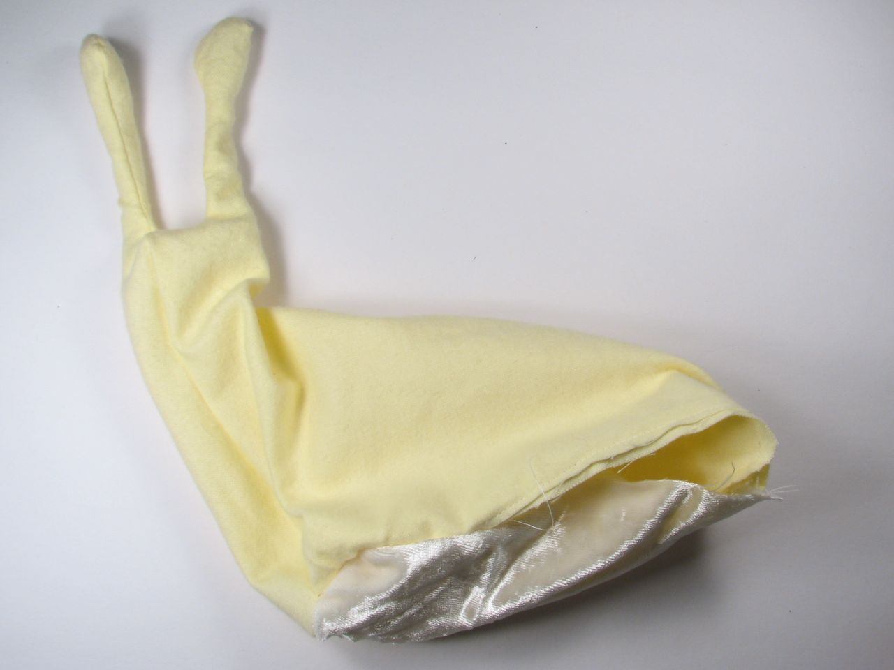 A velvet bristlebot racing snail