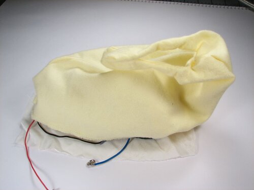 A velvet bristlebot racing snail