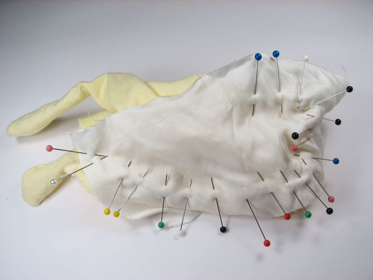 A velvet bristlebot racing snail