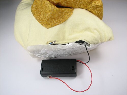 A velvet bristlebot racing snail