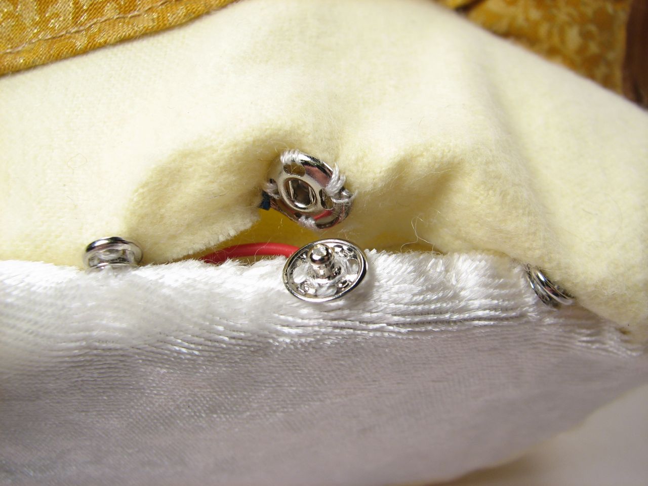 A velvet bristlebot racing snail