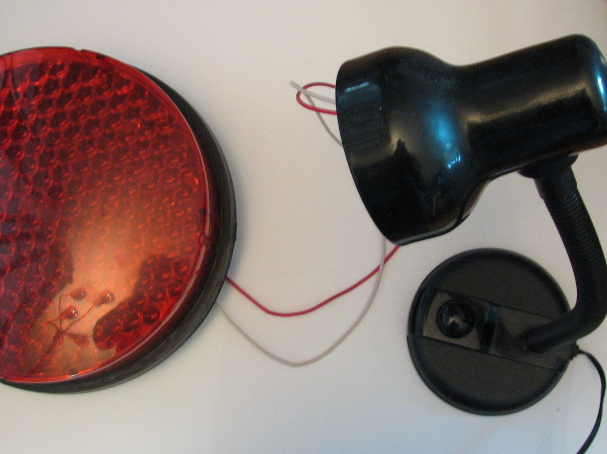 Little Luxo looks sad