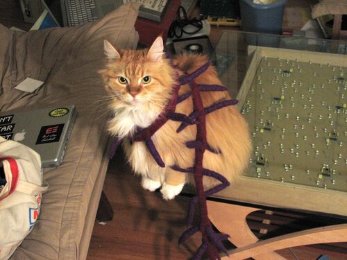 NifNaks scarf on Jellybean