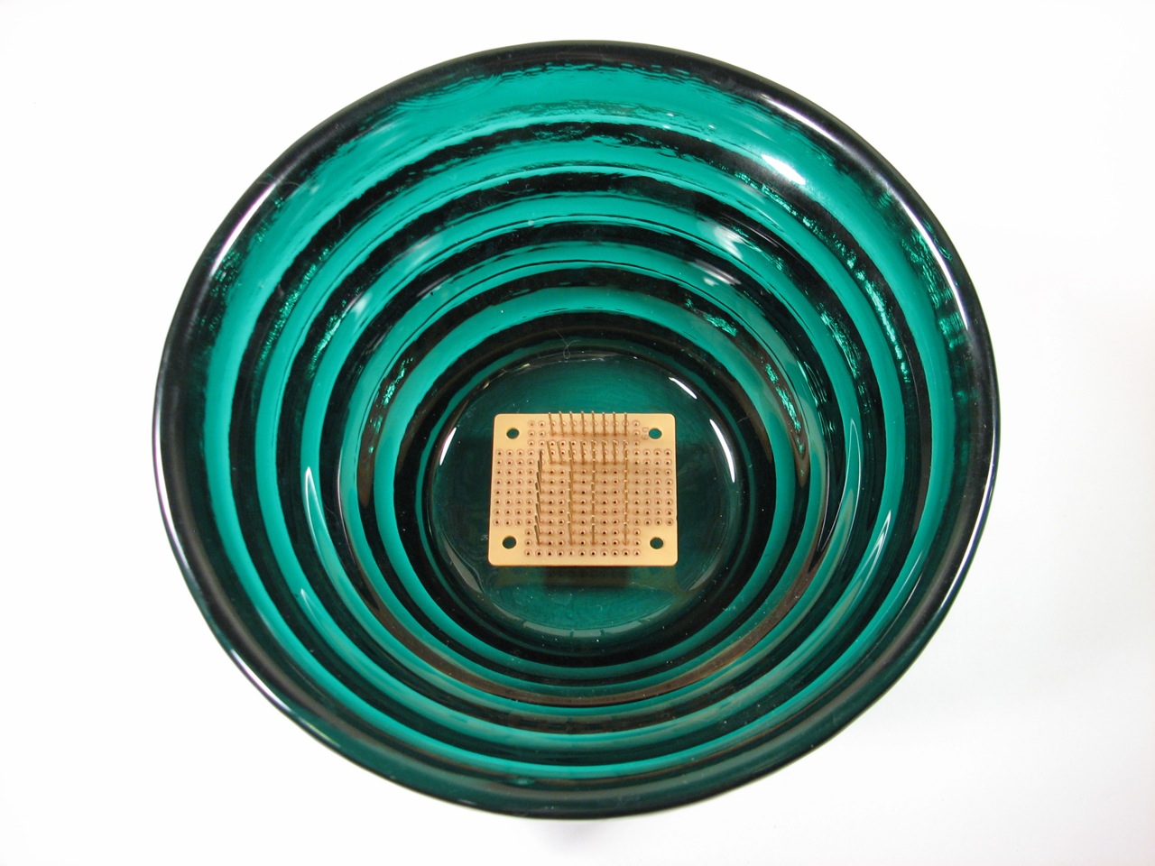 Wire Wrap Frog - frog in bowl