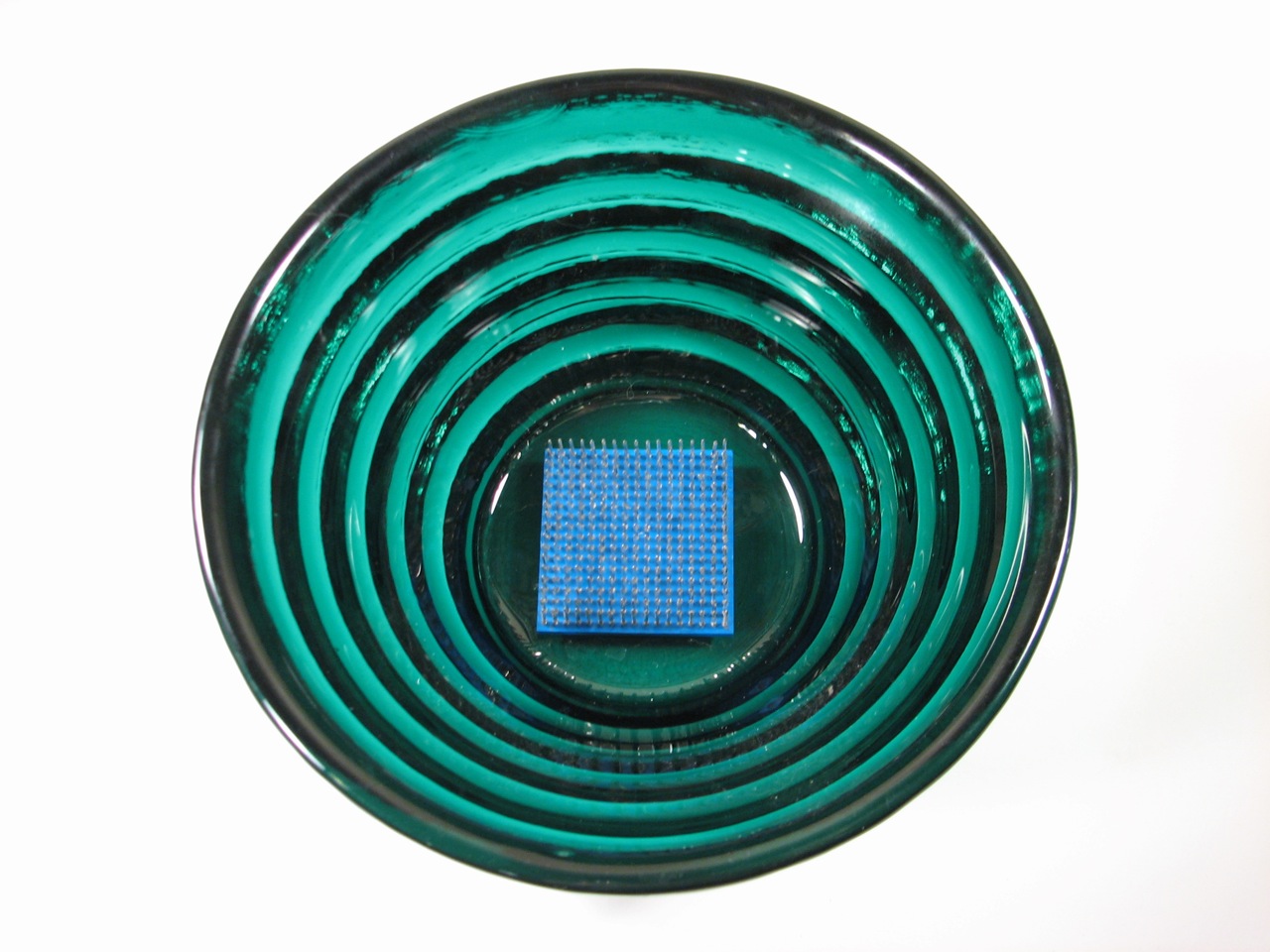 Wire Wrap Frog-blue frog in bowl