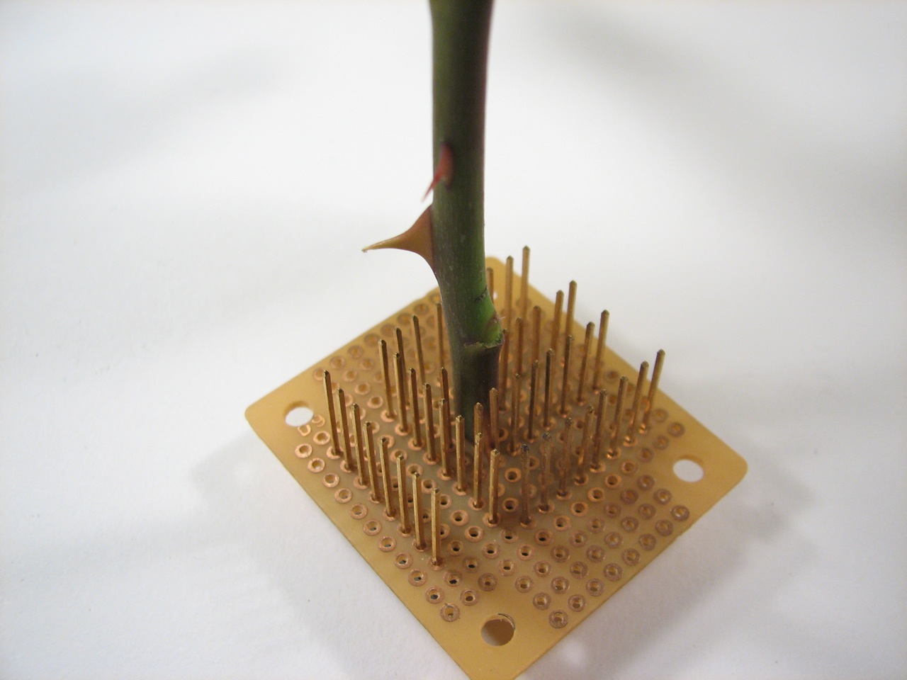 Wire Wrap Frog-stem on frog