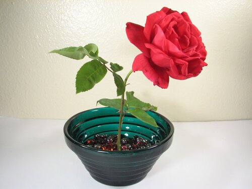 Wire Wrap Frog - Bonsai Rose