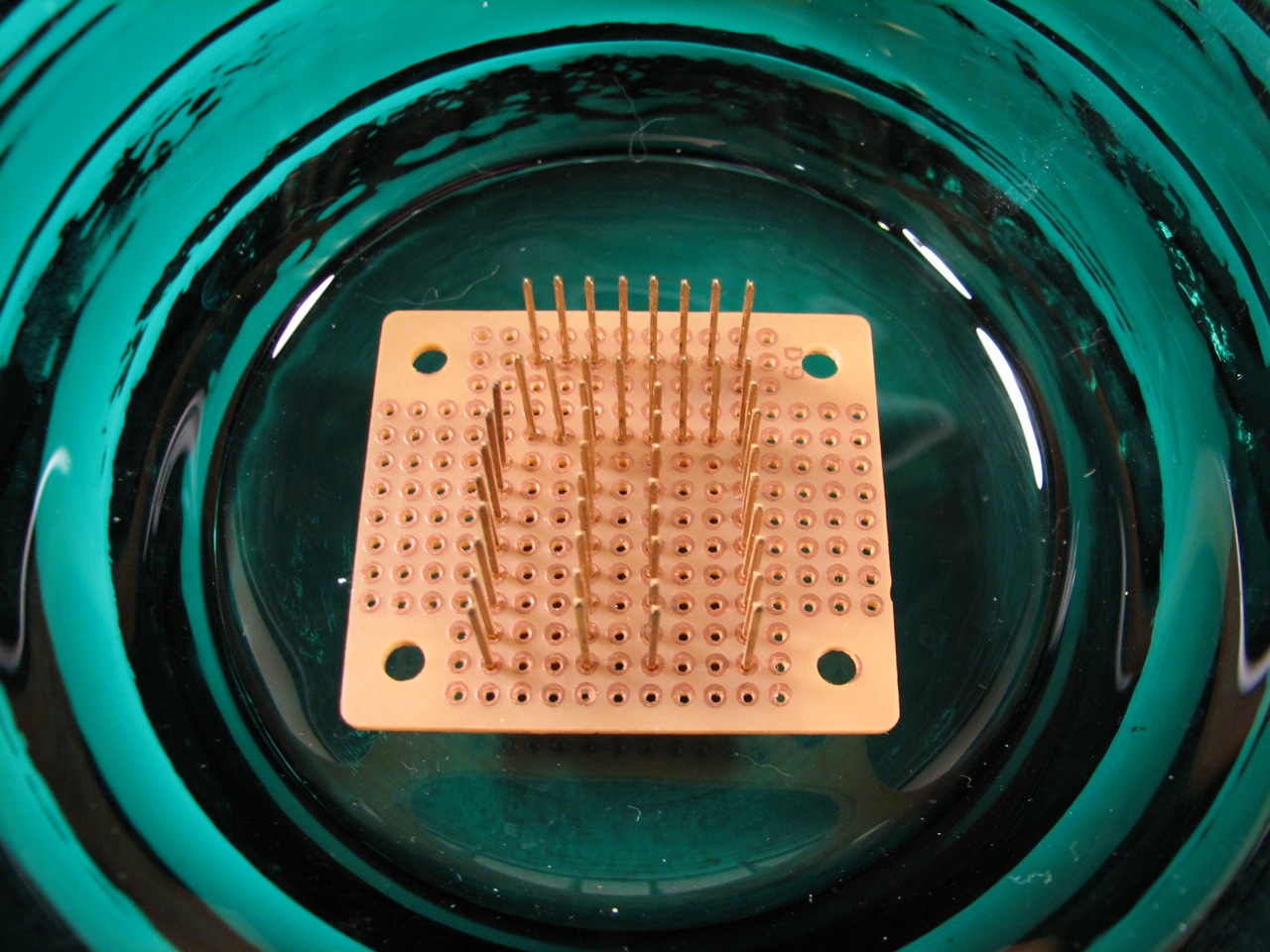 Wire Wrap Frog -frog in bowl