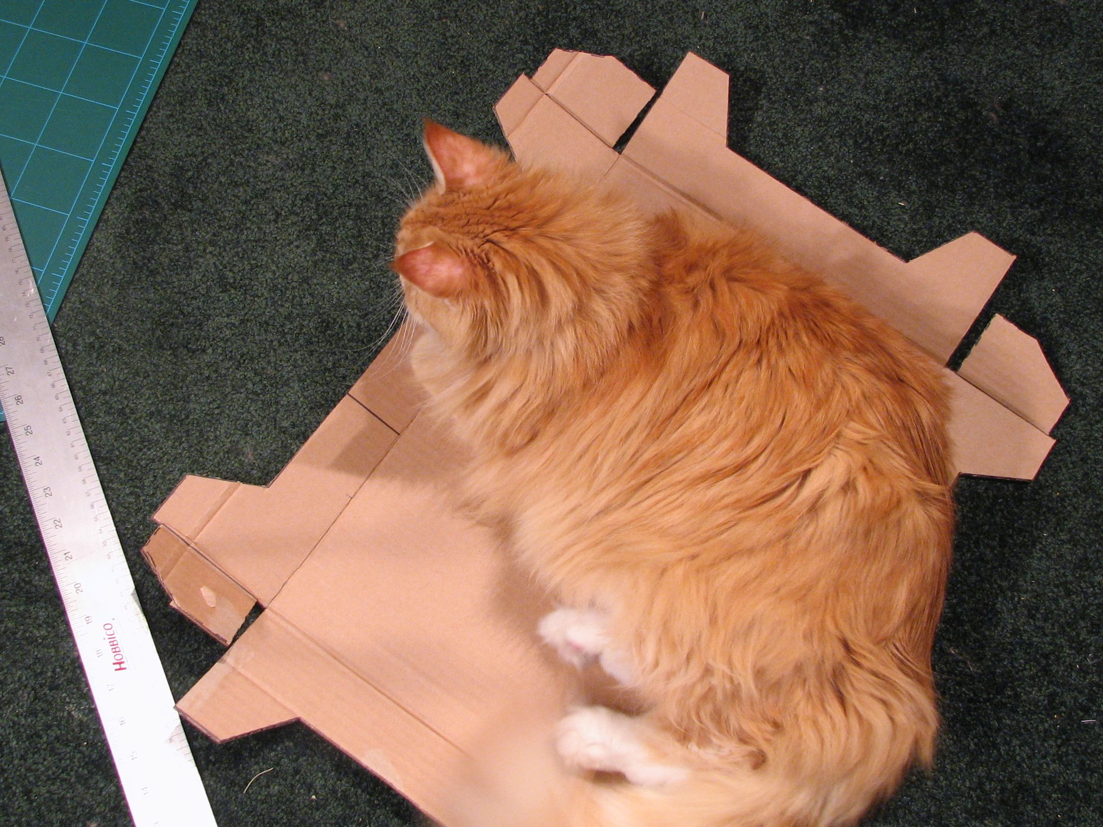 The impatient client, again.