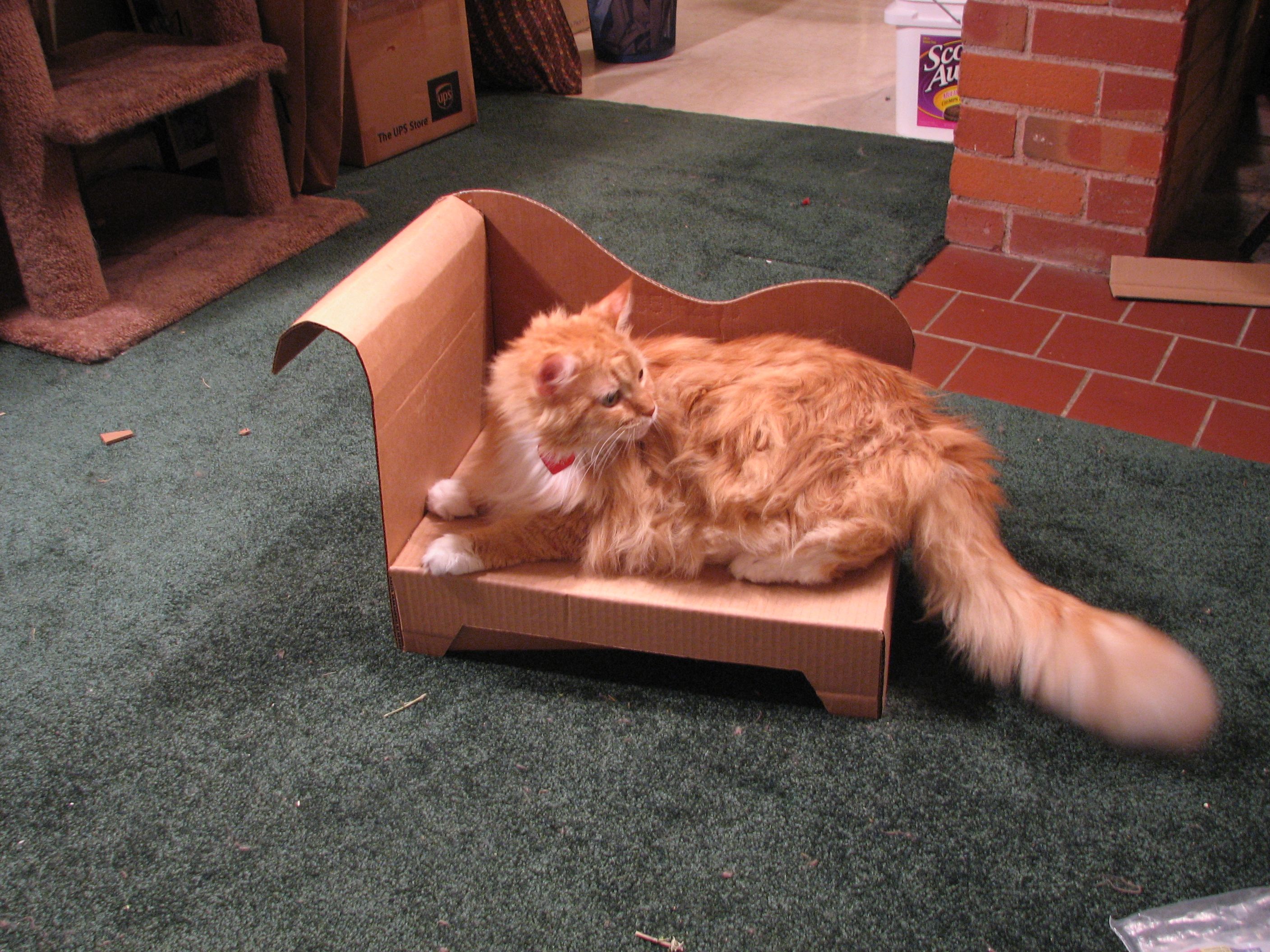 Jellybean is distracted.