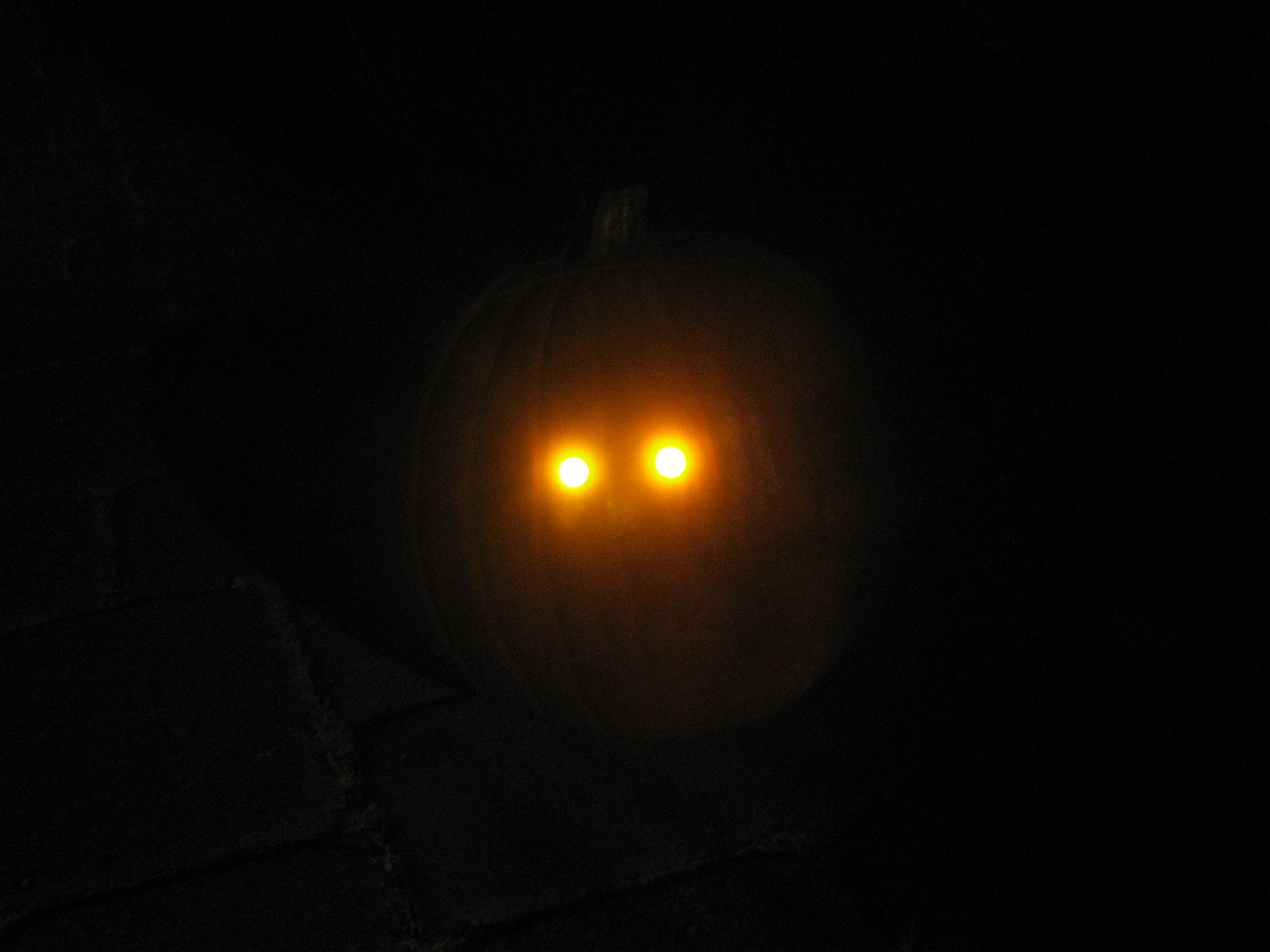 DarkPumpkin - 09