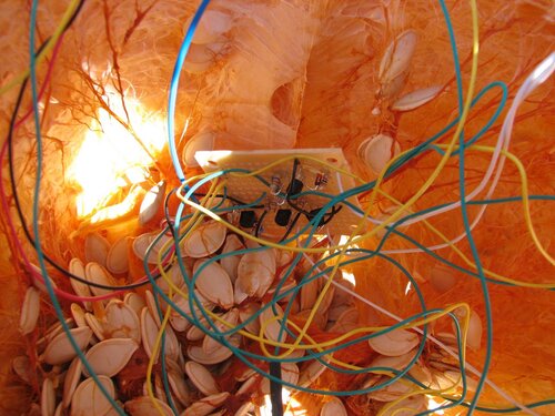 LED Pumpkin...ur doin it wrong