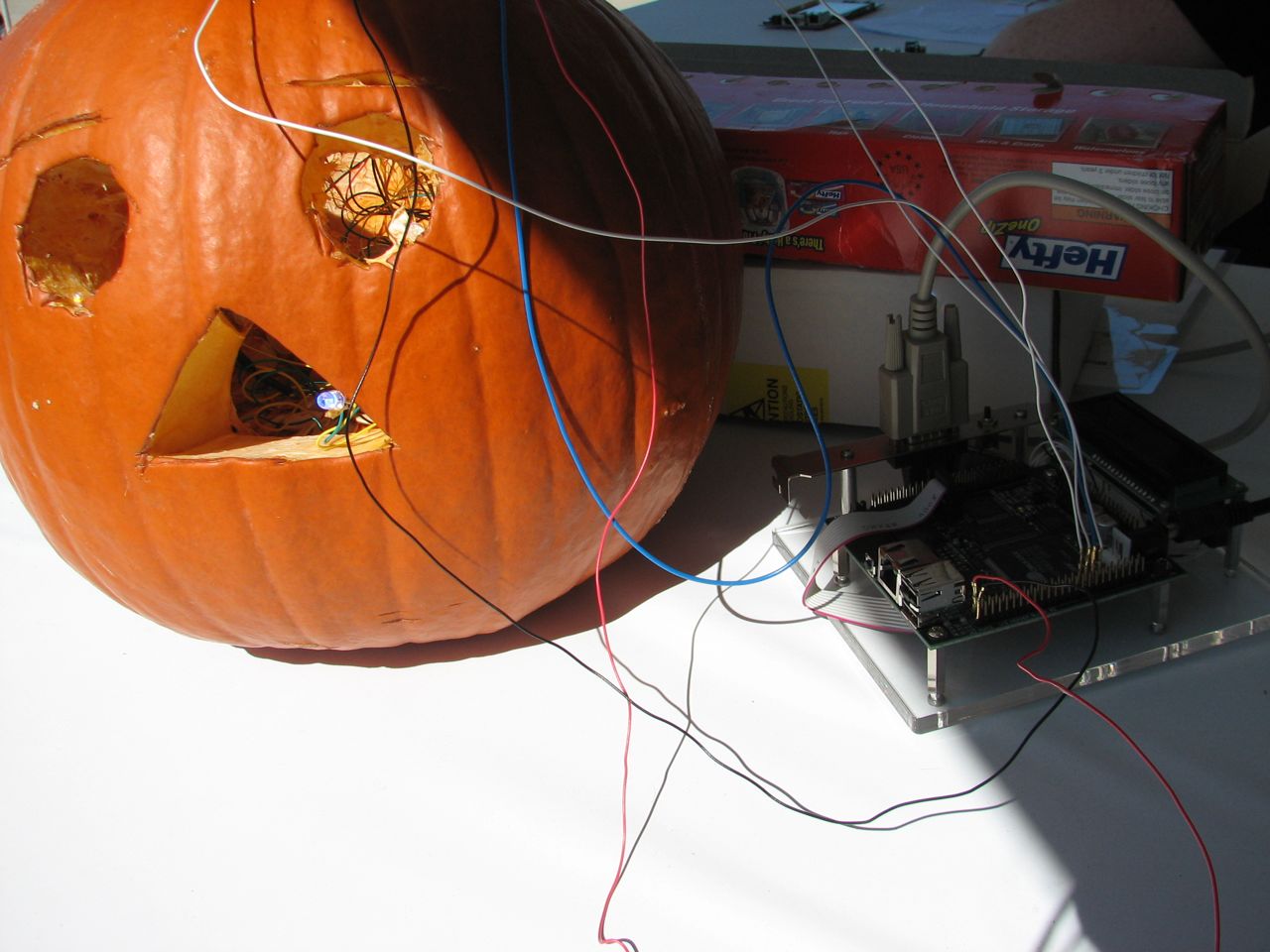 LED Pumpkin...ur doin it wrong