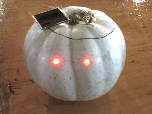 Solar Pumpkin