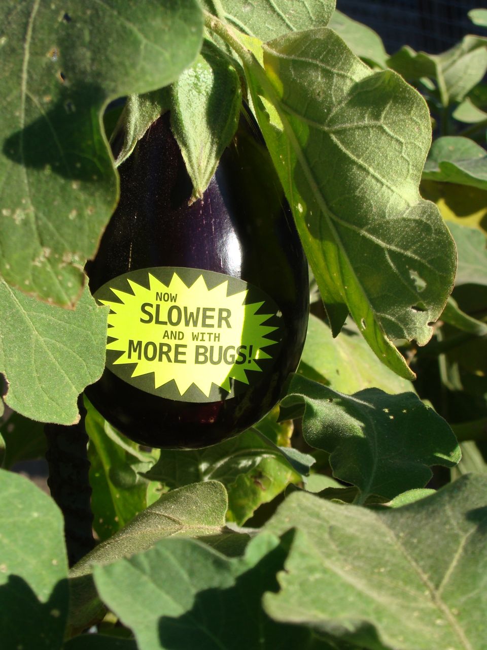 Organic Gardening Stickers