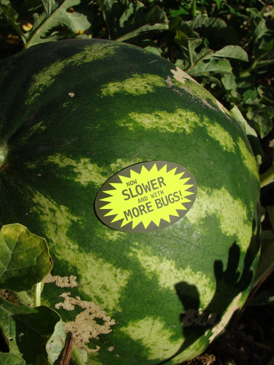 Organic Gardening Stickers