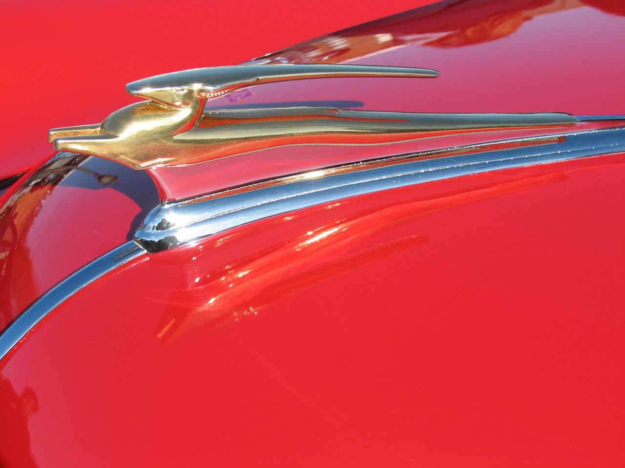 Lakewood neighborhood holiday parade