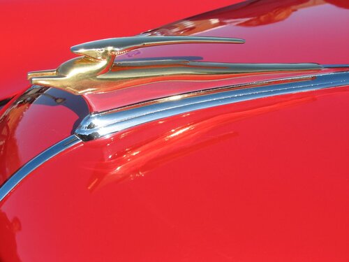 Lakewood neighborhood holiday parade